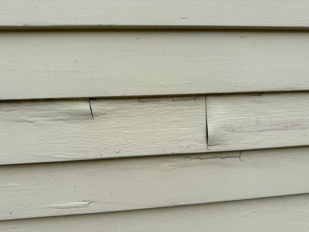 Professional Siding in Lowry Crossing, TX